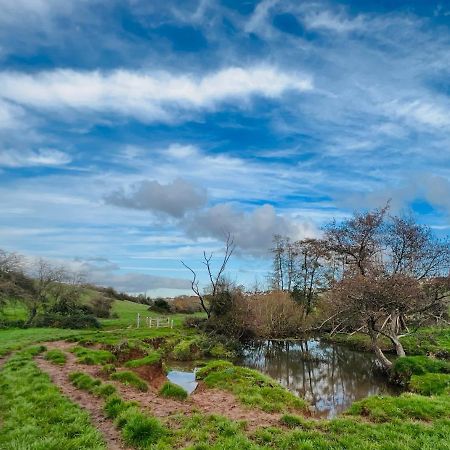 Dapps Hill Haven - Between Bristol And Bath, Both 9 Mins By Train! Keynsham Zewnętrze zdjęcie