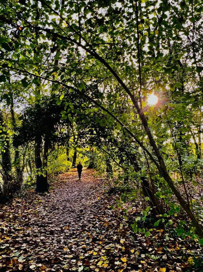 Dapps Hill Haven - Between Bristol And Bath, Both 9 Mins By Train! Keynsham Zewnętrze zdjęcie