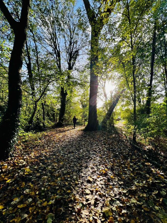 Dapps Hill Haven - Between Bristol And Bath, Both 9 Mins By Train! Keynsham Zewnętrze zdjęcie