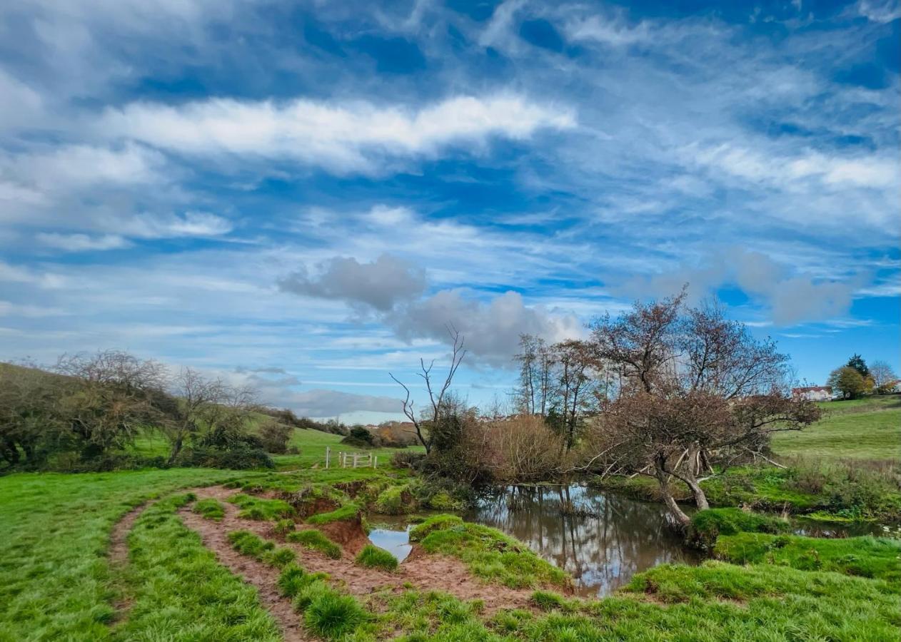 Dapps Hill Haven - Between Bristol And Bath, Both 9 Mins By Train! Keynsham Zewnętrze zdjęcie