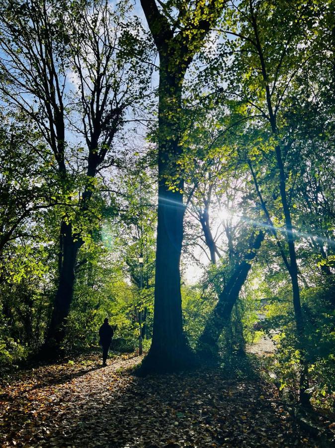 Dapps Hill Haven - Between Bristol And Bath, Both 9 Mins By Train! Keynsham Zewnętrze zdjęcie